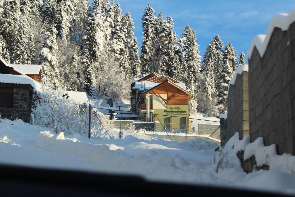 Pine Wood Apartment Vyšné Ružbachy 外观 照片