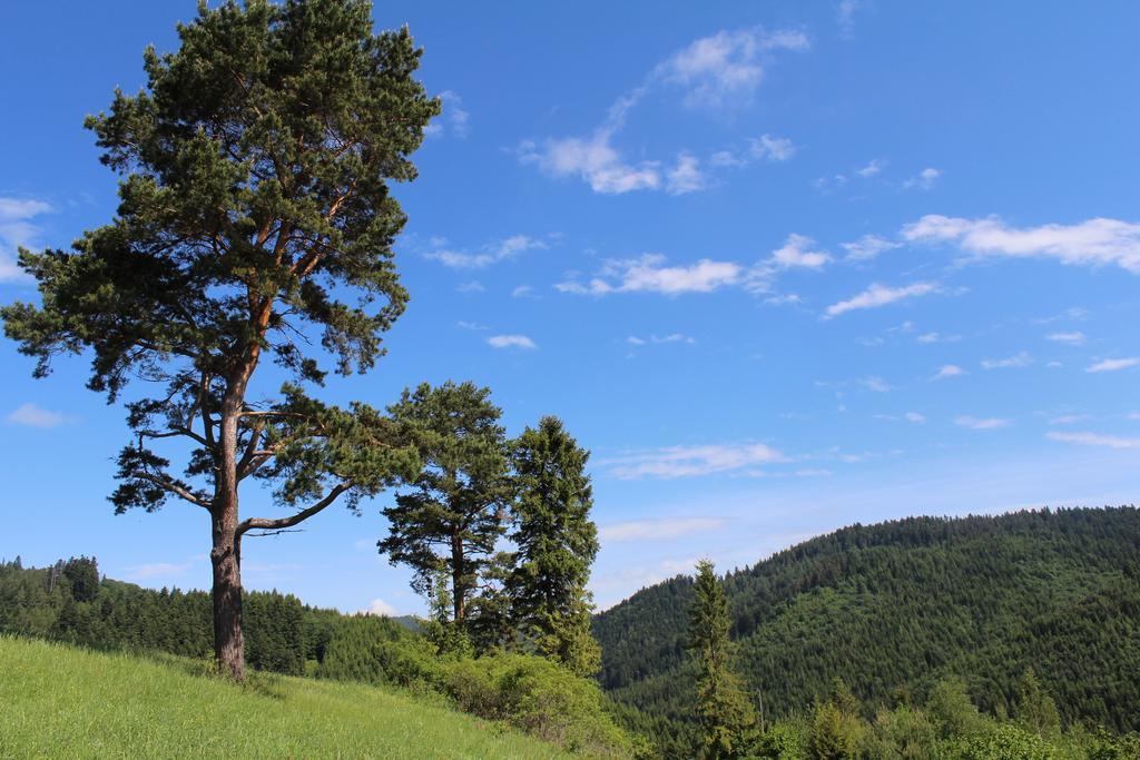Pine Wood Apartment Vyšné Ružbachy 外观 照片